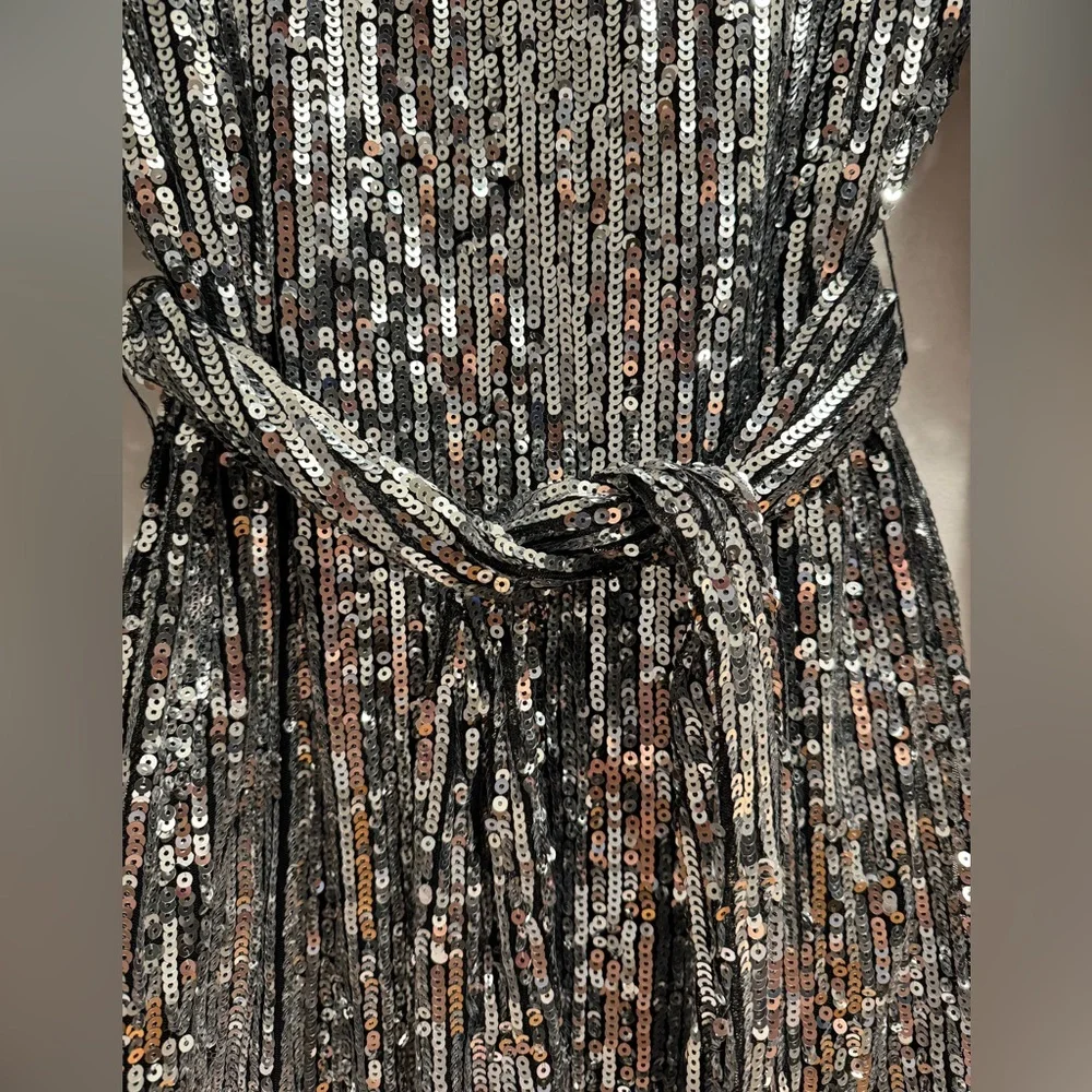 Long Sleeve Silver Sequin Dress - Picture 5 of 5